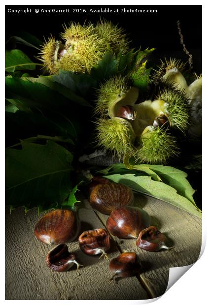 Autumn Chestnuts Print by Ann Garrett