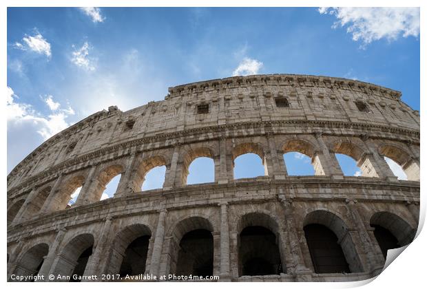 The Colosseum Rome Print by Ann Garrett