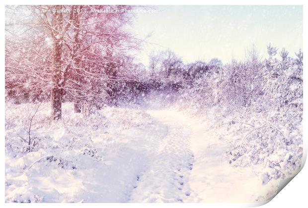 Winter Magic Print by Ann Garrett