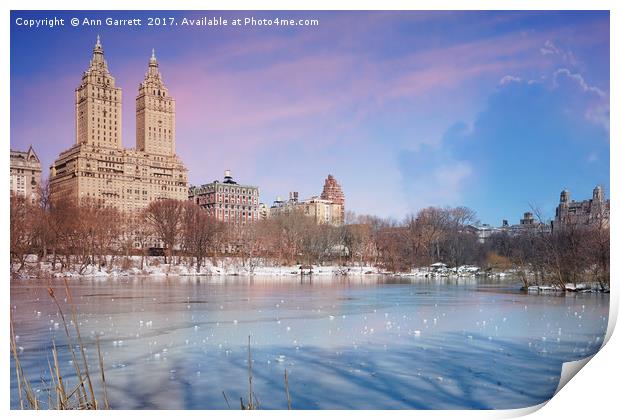 Central Park Ice New York Print by Ann Garrett