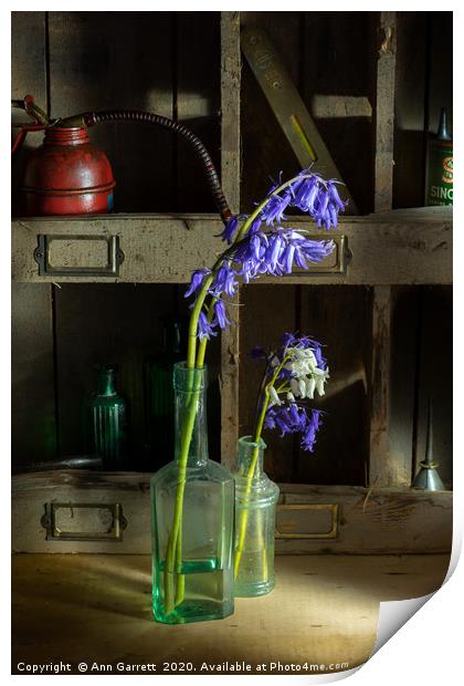 Bluebells in the Workshop Print by Ann Garrett