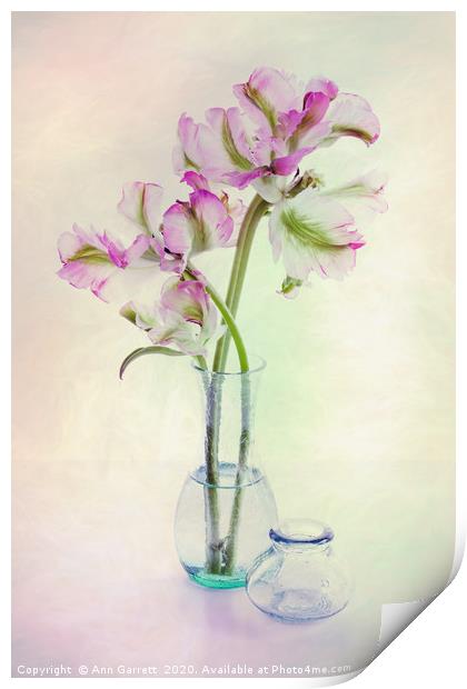Tulips in a Glass Vase Print by Ann Garrett