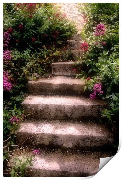 Steps Print by Ann Garrett