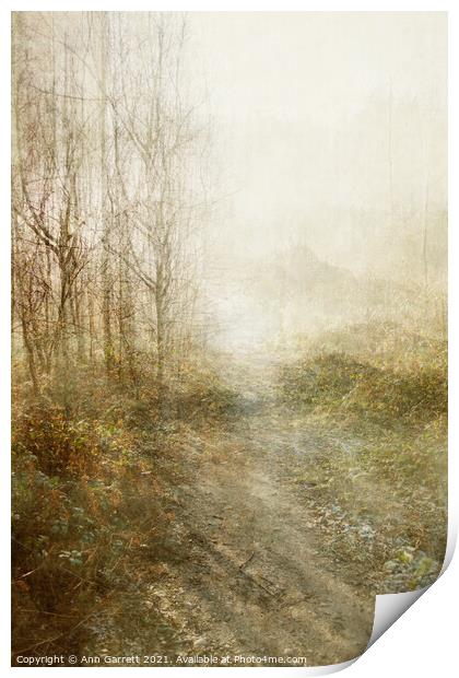Mist on the Chase Textured Print by Ann Garrett
