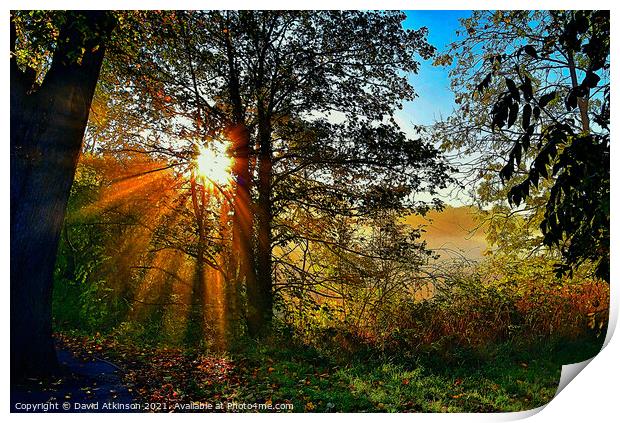 Autumn sunbeams  Print by David Atkinson