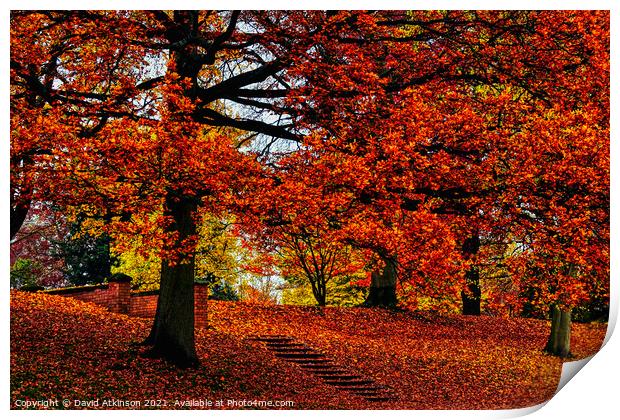 Step into Autumn  Print by David Atkinson
