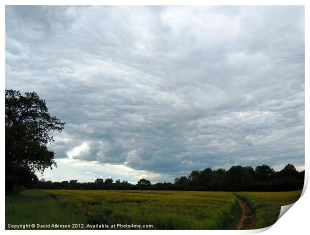 GREY SKIES Print by David Atkinson