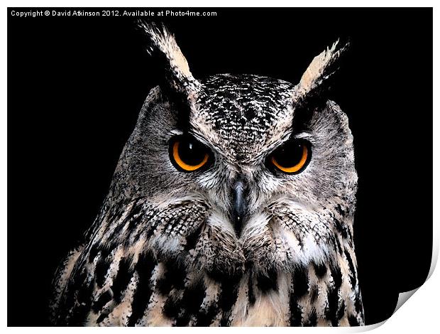 EAGLE OWL Print by David Atkinson