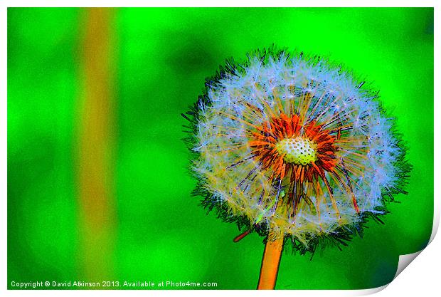 DANDELION DIGITAL CLOCK Print by David Atkinson