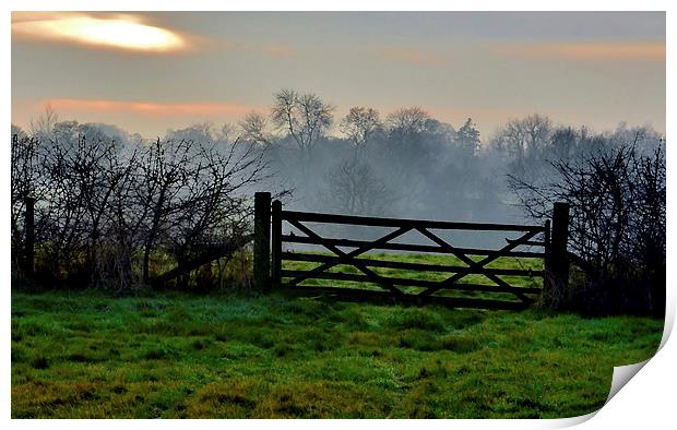 GATEWAY TO THE WOOD Print by David Atkinson