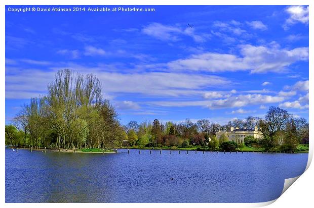 Regents Park Lake Print by David Atkinson