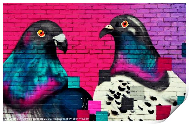 Pigeon art Print by David Atkinson