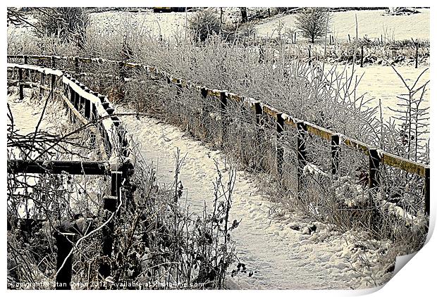 Footpath in Winter Print by Stan Owen