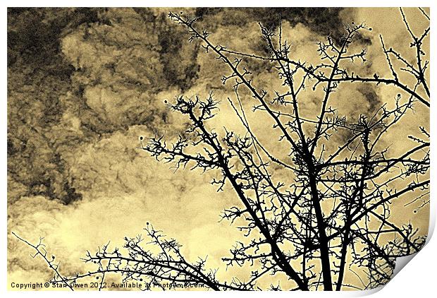 Cold Day Branches Print by Stan Owen