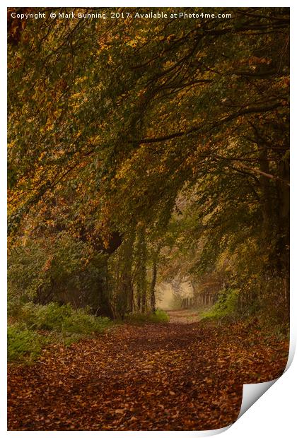 Autumn footpath Print by Mark Bunning