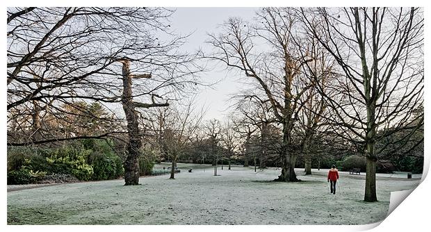 Frosty morning walk Print by Vinicios de Moura