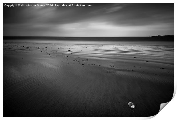 Alone by the beach Print by Vinicios de Moura
