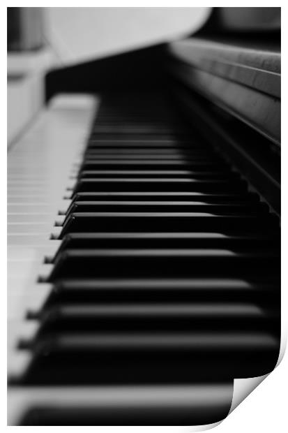 Piano Print by Frankie Arkell