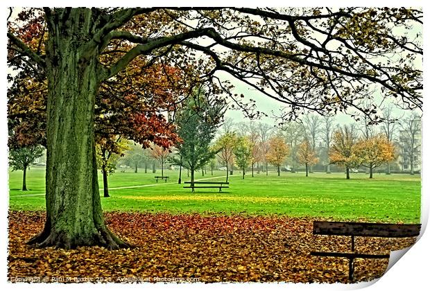 West Park Stray Print by Paul M Baxter