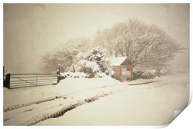 Snowy Shed Print by Jon Short