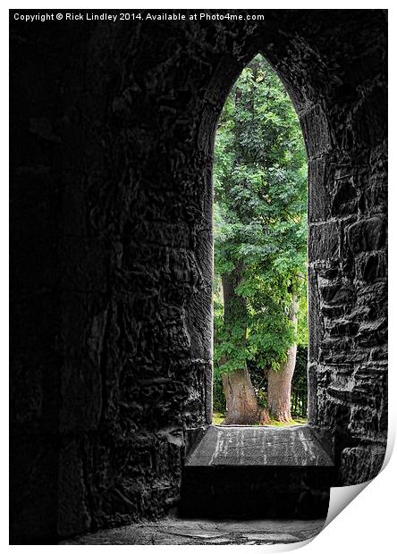  The Window Print by Rick Lindley