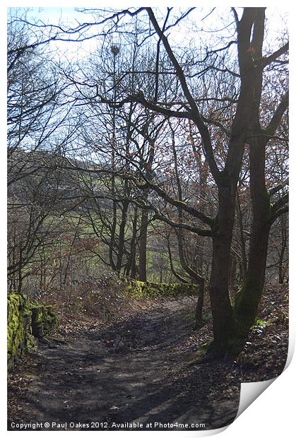 Woodland path between Golcar and Linthwaite Print by Paul Oakes