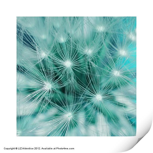 Whispers in Teal Print by LIZ Alderdice