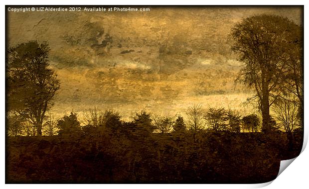 Landscape of Yesterday Print by LIZ Alderdice