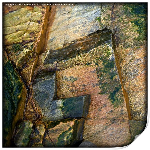 Rock Abstract Print by LIZ Alderdice