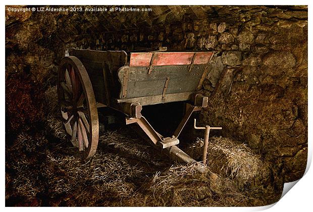 Old Wooden Farm Cart Print by LIZ Alderdice