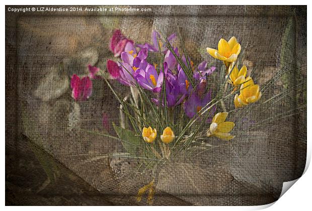 Springtime Flowers Print by LIZ Alderdice