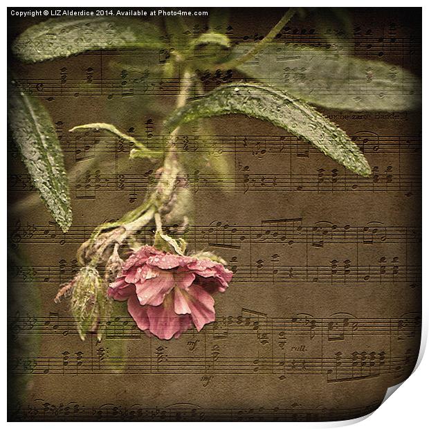 Music and Flowers Print by LIZ Alderdice