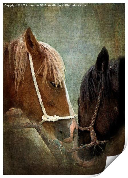  Appleby Fair Horses Print by LIZ Alderdice