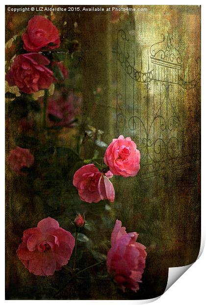  Gothic Romance Print by LIZ Alderdice