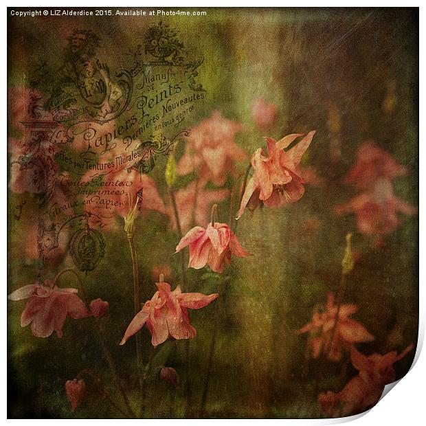  Vintage Floral Print by LIZ Alderdice