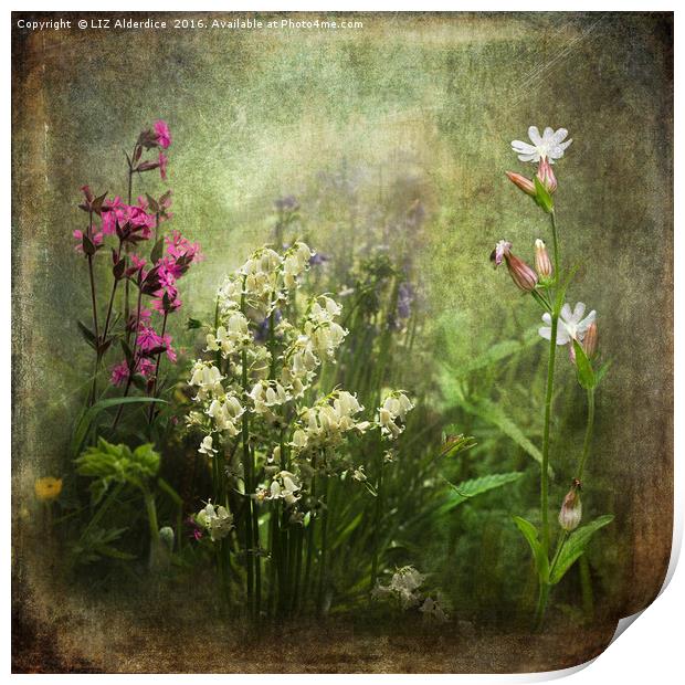 Wildflower Symphony Print by LIZ Alderdice