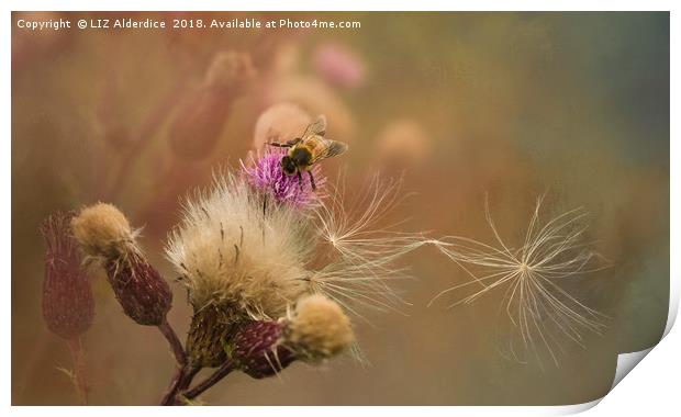 Arrivals and Departures Print by LIZ Alderdice