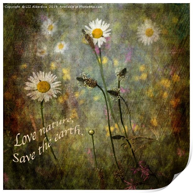 Love Nature - Save the World Print by LIZ Alderdice