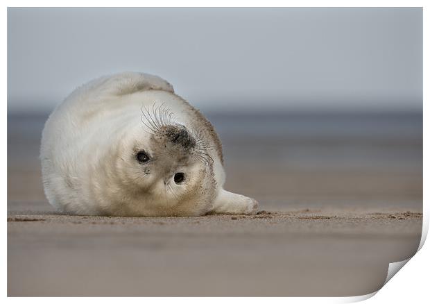 Life's A Beach Print by Natures' Canvas: Wall Art  & Prints by Andy Astbury
