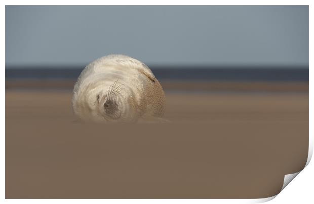 Sun,Sea and Sand Print by Natures' Canvas: Wall Art  & Prints by Andy Astbury