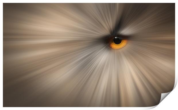 Eagle Owl Eye Abstract Print by Natures' Canvas: Wall Art  & Prints by Andy Astbury