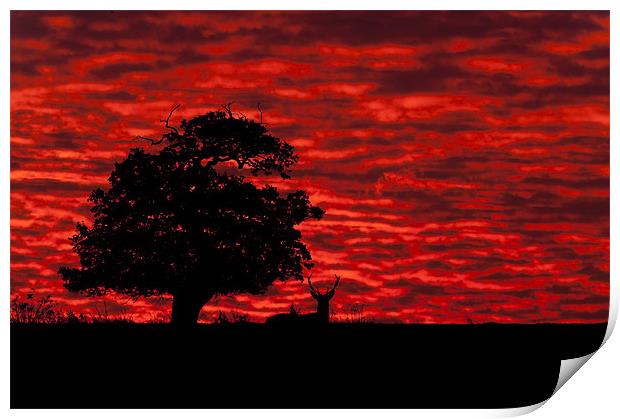 Shepherds' Warning Print by Natures' Canvas: Wall Art  & Prints by Andy Astbury