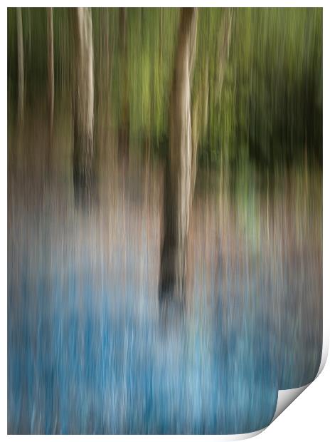 Bluebell Wood Print by Natures' Canvas: Wall Art  & Prints by Andy Astbury