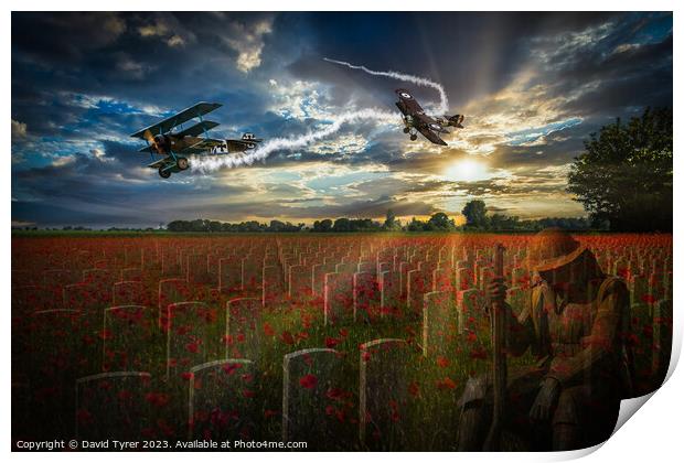 In Flanders Fields the Poppies Blow Print by David Tyrer