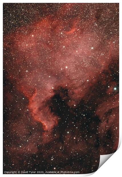Cosmic Tapestry: The North American Nebula Print by David Tyrer