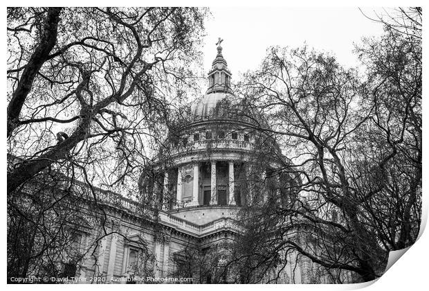 Saint Paul's Cathedral, London Print by David Tyrer