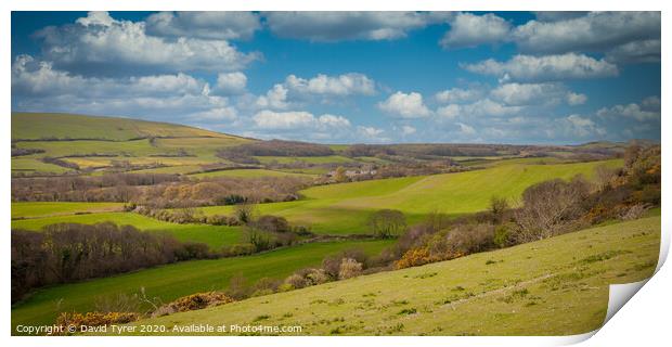 Purbeck Countryside Print by David Tyrer