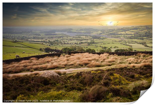 Twilight Over Staffordshire's Untamed Wilderness Print by David Tyrer