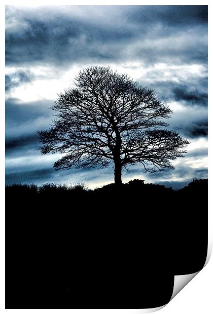 Lone Tree Silhouette Blue Print by Neil Ravenscroft