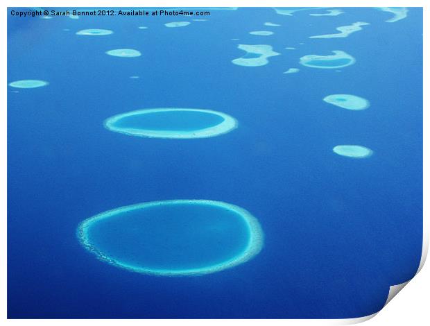 Coral Atolls of The Maldives Print by Sarah Bonnot